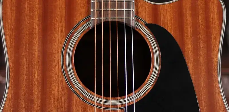 Roseta do Takamine GD11 MCE